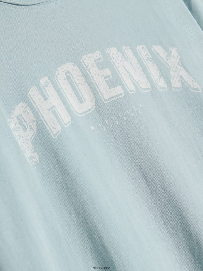 Reserved Men Fashion Regular Fit T-Shirt With Print P6H08T1278 Apparel Pale Blue